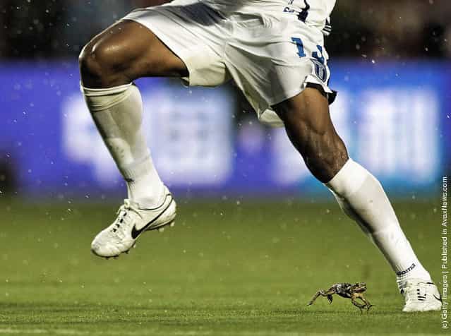 A Bull Frog hops around as Carlos Costly #13 of Honduras brings the ball up against the USA at Sun Life Stadium