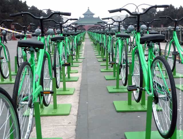 Hundreds of green bicycles are prepared as 960 of them await riders for the new year gala at the Temple of Heaven Park