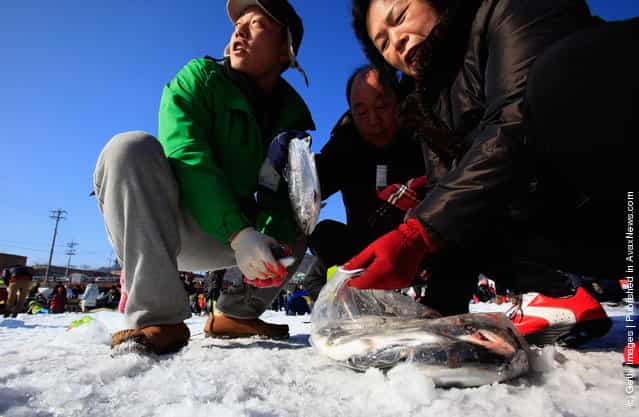 South Koreans Celebrate Ice Festival