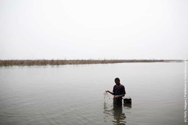 A boy fishes with a net in the lagoon on January 6, 2012 in Ganvie, near Cotonou, Benin