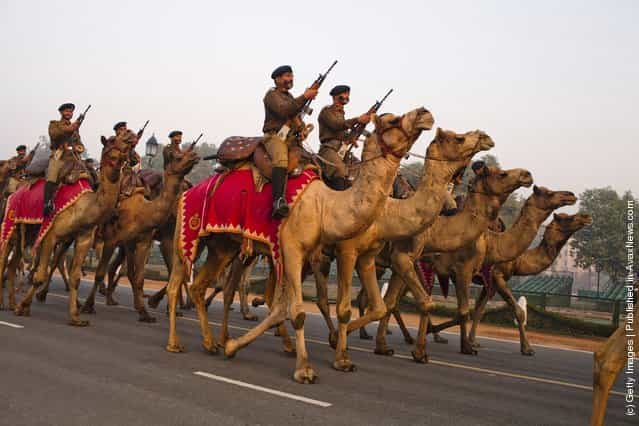 Indian soldiers mounted on camels march in preparation for the upcoming Republic Day parade