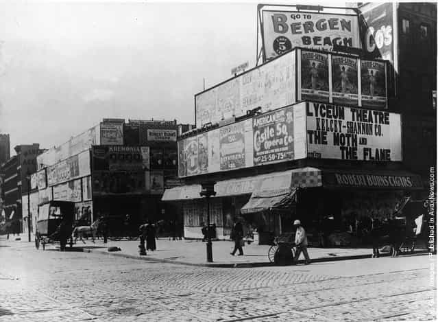 View of the intersection of Broadway and 42nd Streets, with a cigar store, horsedrawn carriages and advertisements, New York City, 1900