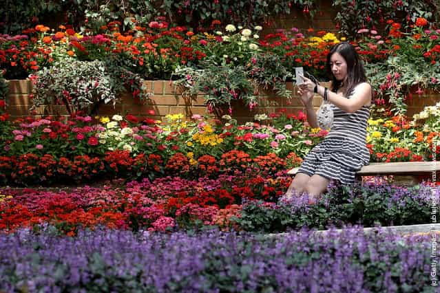 Singapore Sentosa Flower Show In Full Bloom