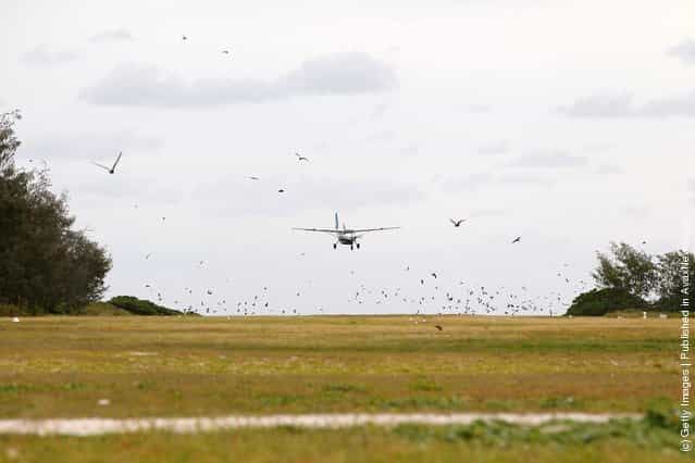 Birds fly away from the landing strip as a plane approaches for landing at Lady Elliot Island, Australia