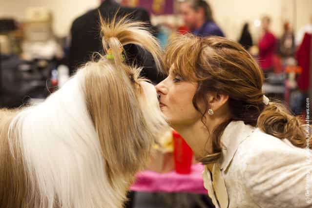 Nikkie Kinzigner performs a trick with Tibetan Terrier Reese, winner of an award of merit, backstage at the Westminster Kennel Club Dog Show