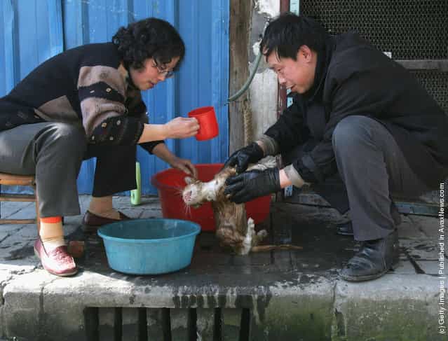 Residents wash their cat at a street in Chengdu of Sichuan Province, China