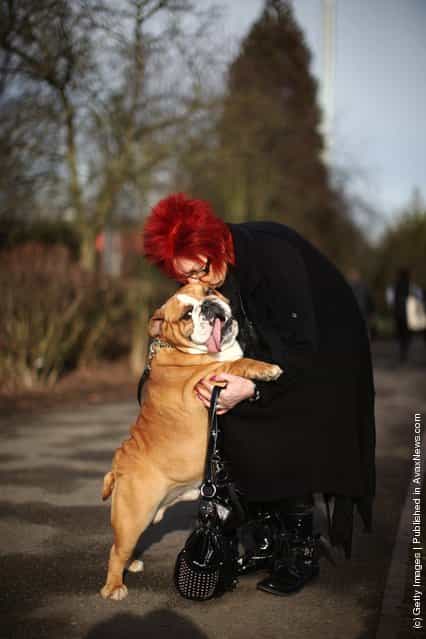 Eli the British Bulldog gets a cuddle from her owner Sue Leicity on Day one of Crufts at the Birmingham NEC Arena