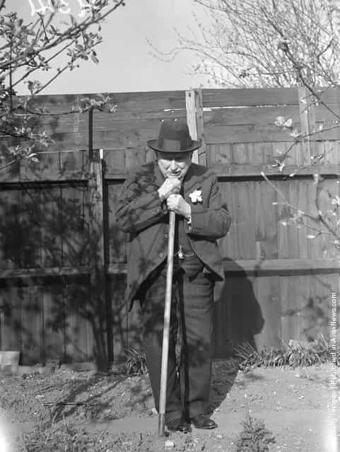 1938: Mr C Cole of Watford, 100 years old on Monday April 4th, still potters about in his garden
