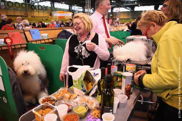 Dogs and their owners enjoy lunch on day three of Crufts at the Birmingham NEC Arena