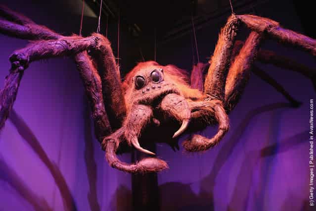 A model of Aragog used in Harry Potter and the Chamber of Secrets (the second film in the series) is displayed at the new Harry Potter Studio Tour at Warner Brothers Leavesden Studios