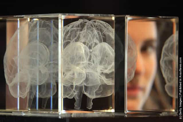A visitor looks at an artwork entitled My Soul by Katharine Dowson which consists of a laser etched lead chrystal glass formation in the shape of a brain, and was created using the artists own MRI Scan