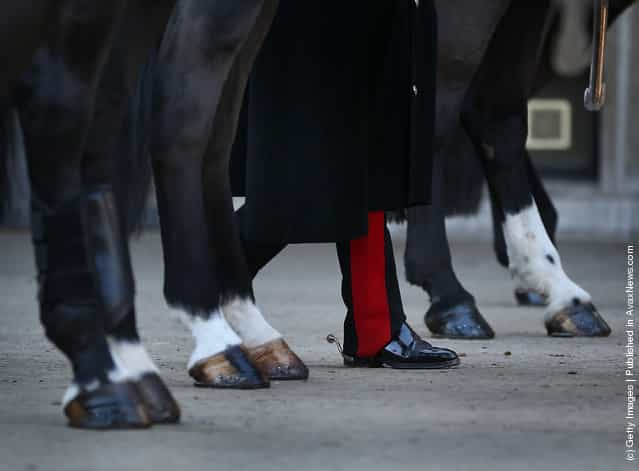 he booted leg of a cavalry officer of The Household Cavalry Mounted Regiment (HCMR) is seen amongst horses legs during parade at Hyde Park Barracks