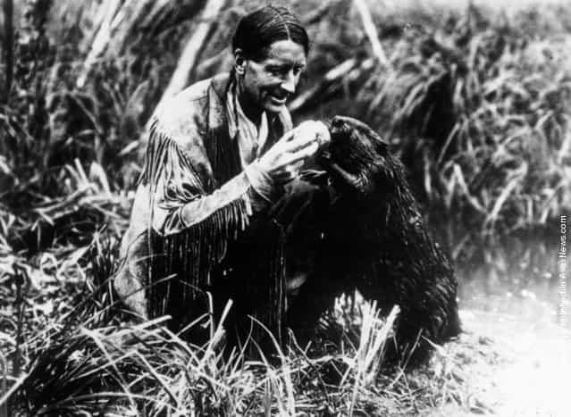 1930: English-born environmentalist and author Grey Owl (1888 - 1938) feeding a beaver. Born Archibald Stansfield Belaney in Surrey, he emigrated to Canada in 1906 and married a Mohawk woman