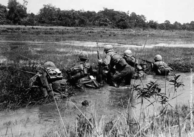 American army combat platoon leader Second Lieutenant John Libs (center) of 2nd platoon, C Company, 2d Battalion, 16th Infantry Regiment, 1st Division, surveys the situation with his men from the relative safety of a watery rice paddy as they prepare to advance on a Viet Cong sniper position, Vietnam, mid 1960s. Libs and the rest of 2nd Platoon participated in the battle of Xa Cam My/Operation Abilene in April 1966 during which Charlie Company suffered 82% casualties