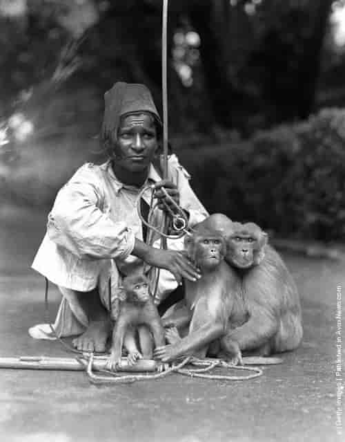 INDIA - CIRCA 1930s: Young man wearing fez, with three trained monkeys