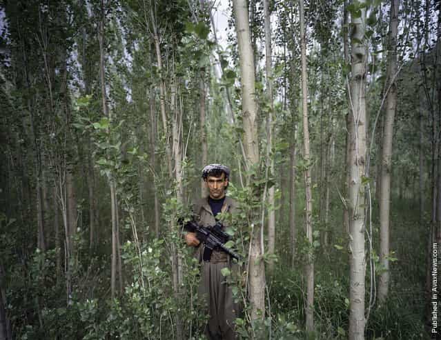Kurdistan Workers Party (PKK) commander Haval Syavent stands in the forest near the PKK camp of Arbur Kurdistan Workers Party (PKK) commander Haval Syavent stands in the forest near the PKK camp of Arbur