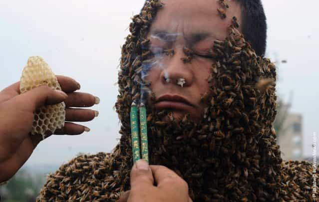 A Chinese beekeeper covered his body with 73 pounds (33.1 kg) of bees