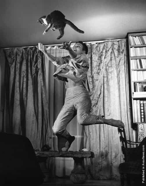 American actress Jean Dorothy Seberg with cat, 1959. (Photo by Philippe Halsman)