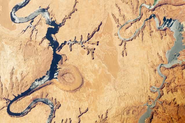 An April 30 photo taken from the International Space Station highlights part of Lake Powell, which extends across southeastern Utah and northeastern Arizona