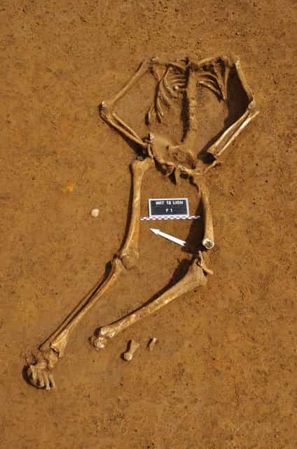 The skeleton of a soldier killed in the Battle of Waterloo, is pictured at the site where the bones were found, in this handout photo taken June 5, 2012 The skeleton of a soldier killed in the Battle of Waterloo, is pictured at the site where the bones were found, in this handout photo taken June 5, 2012