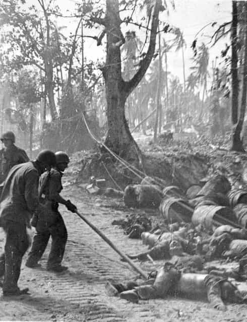 Three marines dragging Jap body along dusty road on Kwajalein