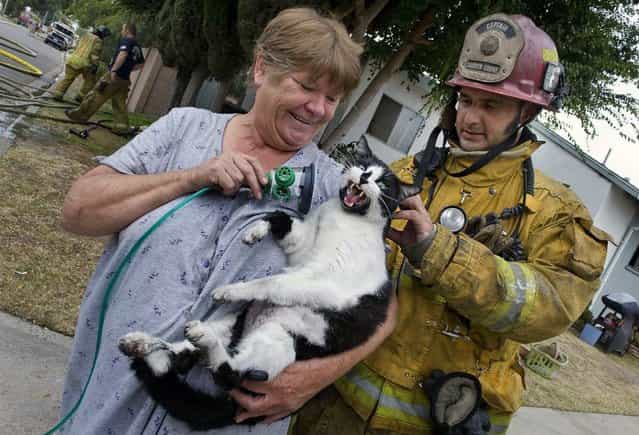 Garden Grove Fire Capt. Albert Acosta checks on the welfare of a cat named Magic, as owner Norma Arbotast finishes the cat's oxygen treatment, on June 21, 2012 in Garden Grove, Calif