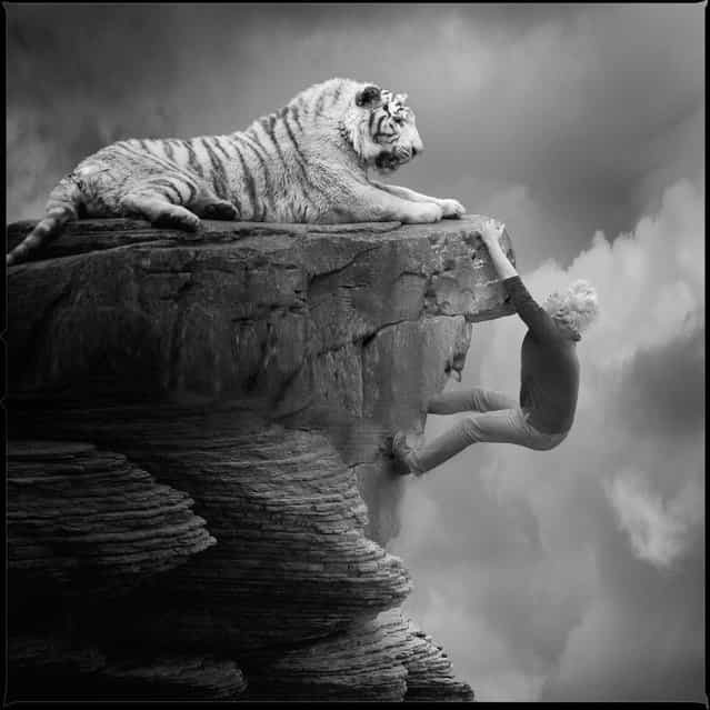 Its time to learn!. Photo Art by Yves Lecoq