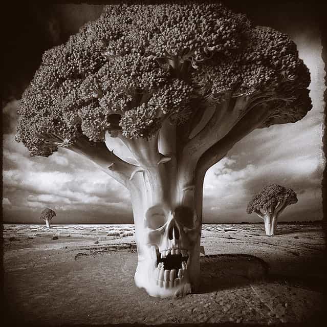 Once I met the King of the Broccolis. Photo Art by Yves Lecoq