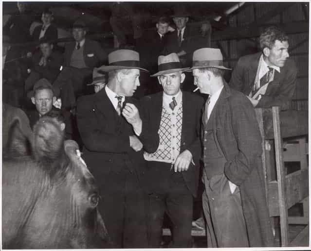 Three men at the Warragul cattle sales, Victoria, ca. 1944