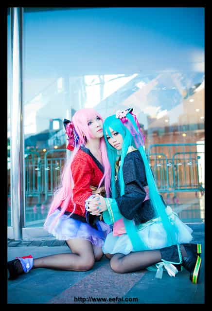 Vocaloid Magnet Miku Luka