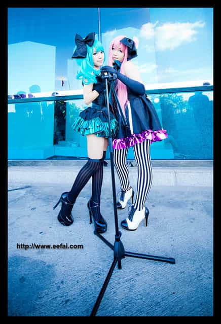 Vocaloid Miku Luka
