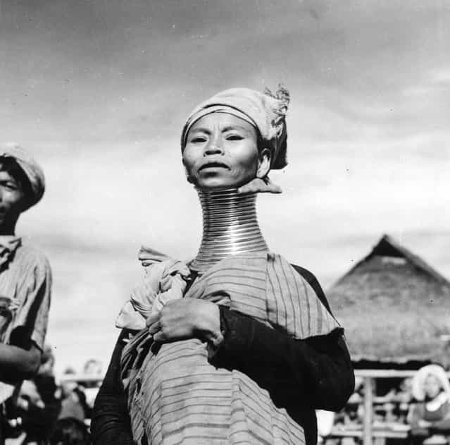 A Padaung, or Kayan woman. Originally a Mongolian tribe, the Padaung have been assimilated into the Karen group native to Mayanmar (Burma), circa 1950. The most stiking feature of these people are the brass rings fitted to the necks and limbs of women born on Wednesdays. The first neck ring is fitted when they are five or six, with successive rings fitted every two years, denoting the status of their family. (Photo by Three Lions)