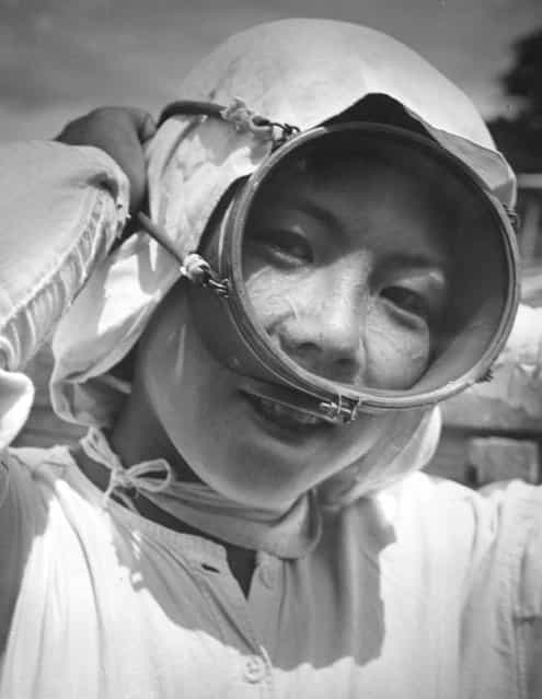 A young Japanese girl adjusts her face mask before another dive, May 1956. Known as an [Ama], she will dive all day long catching shellfish. (Photo by Keystone Features)