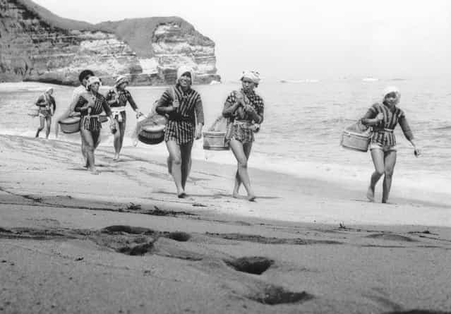 A group of Japanese skin divers or [Amas] prepare for a day's work near the small fishing village of Onjuku in the Chiba prefecture of Japan, August 1959. Stripped to the waist, they will fill their tubs with the seaweed they harvest. (Photo by Keystone Features)
