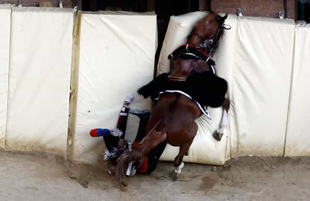 An Italian Carabinieri policeman falls from his horse during a parade prior to a training session of the Palio race in Siena's main square, on August 15, 2012. (Photo by Alessandro Bianchi/Reuters)