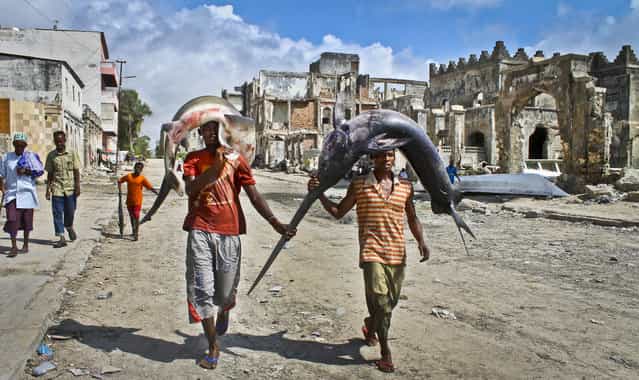 Somalis carry a swordfish and a shark on their heads from the ocean to the market in Mogadishu, Somalia October 25, 2012. (Photo by Farah Abdi Warsameh)