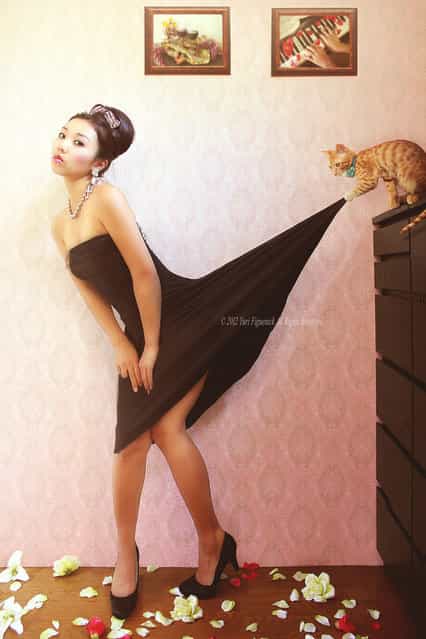 There's something sexy about black dress and a cat. (Photo by Yuri Figuenick)