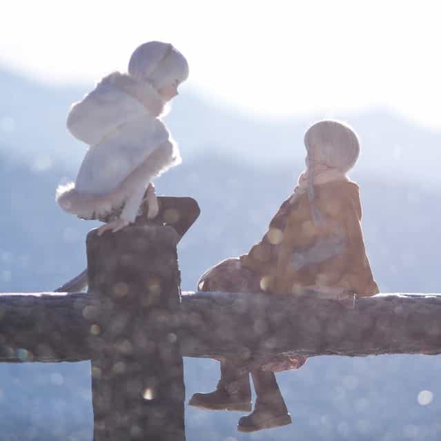 In glittering snow. Model: DollfieDream Sakuya Izayoi ＆ Shiiko (suzuhico's doll)