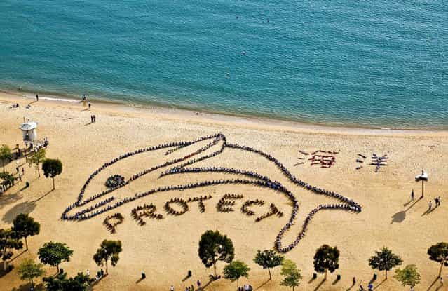 800 Hong Kong schoolchildren and teachers from 14 schools, and volunteers gather to form an image of the Chinese white dolphin on the Repulse Bay Beach in Hong Kong, November 9, 2012. (Photo by Kin Cheung/Associated Press)