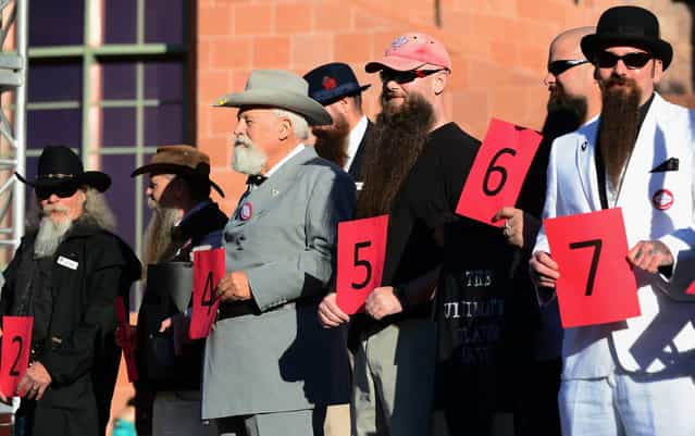 Contestants in the Natural Goatee category hold their number for judges and the crowd at the third annual National Beard and Moustache Championships in Las Vegas, Nevada on November 11, 2012. (Photo by Frederic J. Brown/AFP Photo)