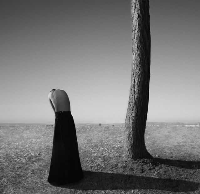 Silence. (Noell S. Oszvald)