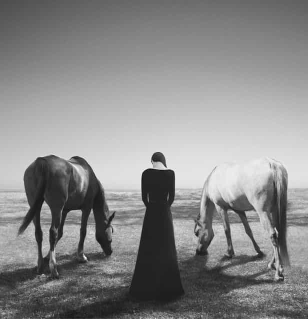 The good, the bad and the lost. (Noell S. Oszvald)