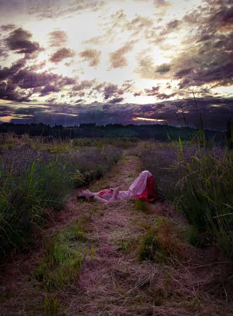 [summer's promise]. (Kindra Nikole)