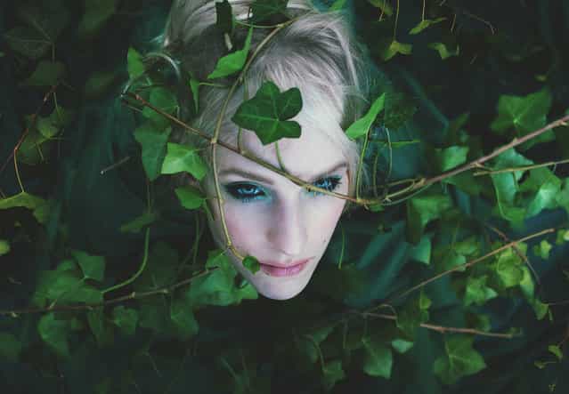 [growth in green]. (Kindra Nikole)