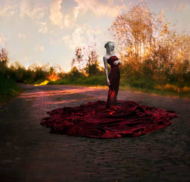 [Beckoning Autumn]. (Kindra Nikole)