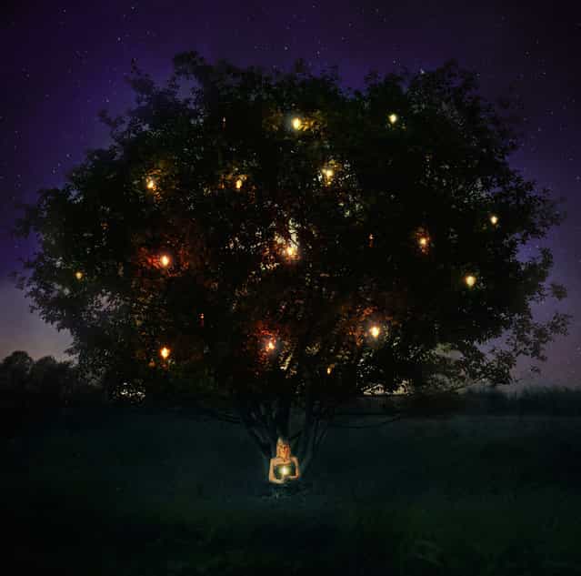 [the wishing tree]. (Kindra Nikole)