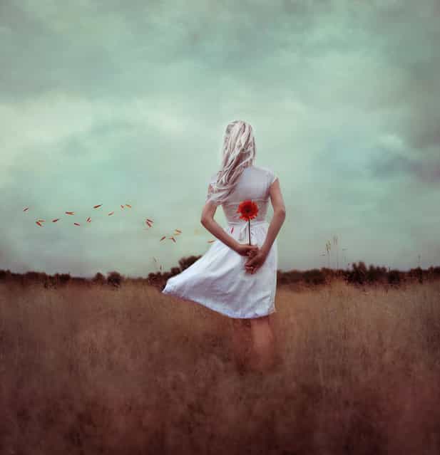 [never let the flower decide]. (Kindra Nikole)