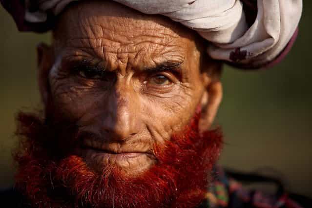 A nomadic Gujjar man is a member of the tribe moving out from the hills to escape the cold winter, November 17, 2012. (Photo by Channi Anand/Associated Press)