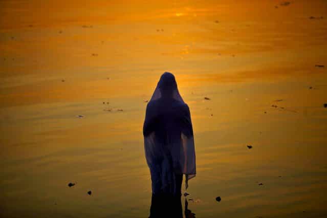 A Hindu devotee performs rituals at sunset during Chhath Puja festival, in Hyderabad, India, November 19, 2012. On Chhath, an ancient Hindu festival, rituals are performed to thank the Sun God for sustaining life on earth. (Photo by Mahesh Kumar/Associated Press)