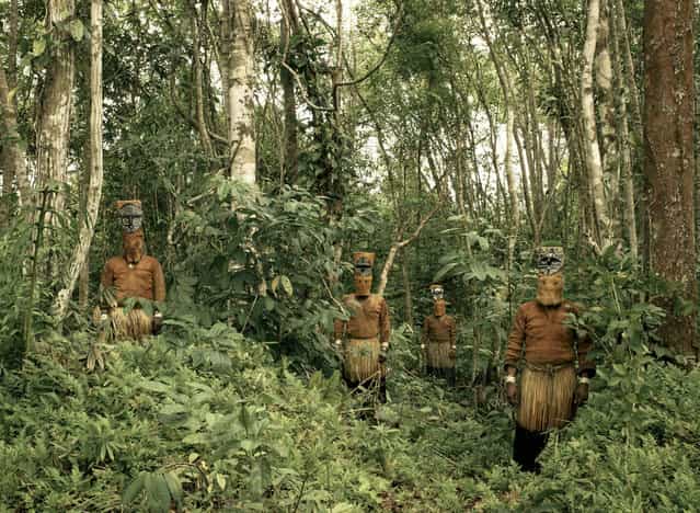 [Guardians of the Forest: Deep in the Colombian Amazon, Yucuna indians stand dressed in traditional tribal attire for the Baile del Muñeco, or puppet dance, a celebration of the abundance of the Chontaduro fruit. While traditional indigenous customs are fast being lost throughout the Amazon jungle, here, far down the Caqueta river and few miles from the Brazilian border, traditions are still very much intact. The costumes are still made entirely from natural materials, predominantly tree bark, during this three day festival]. (Photo and comment by Piers Calvert/National Geographic Photo Contest via The Atlantic)